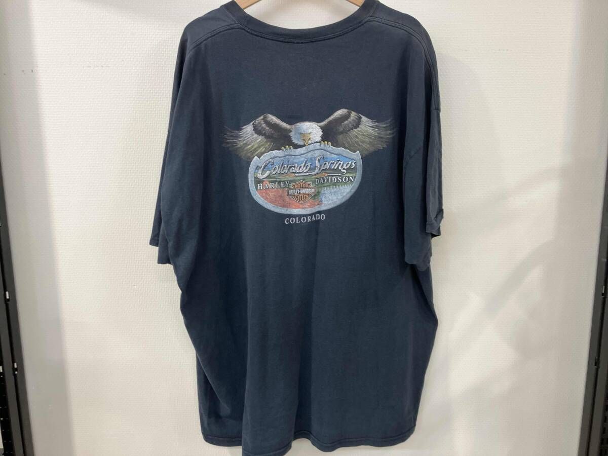 HARLEY DAVIDSON RUNNIN WILD 半袖Tシャツ プリントTシャツ 3XLサイズ 00s 00年代 ダブルステッチ