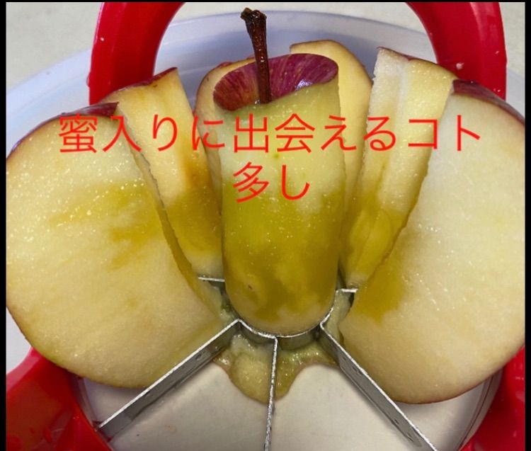 減農薬栽培山形県産どーんと　ふじ小玉パック詰め10キロ 50玉-5