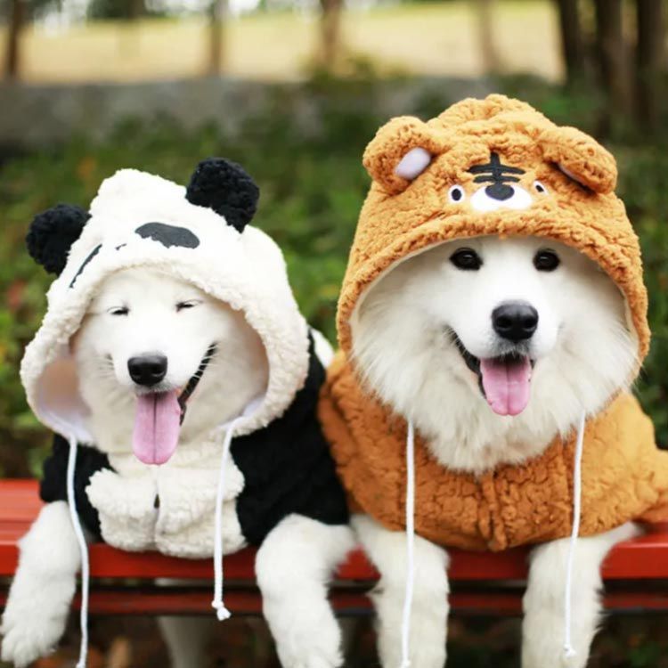 ペットグッズ 犬用 ドッグウェア 犬服 パーカー 服 キャンプ