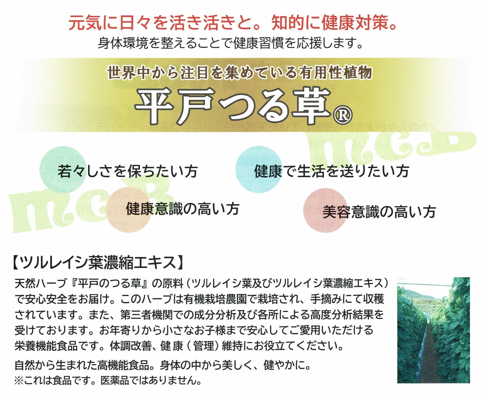 1箱120粒入り