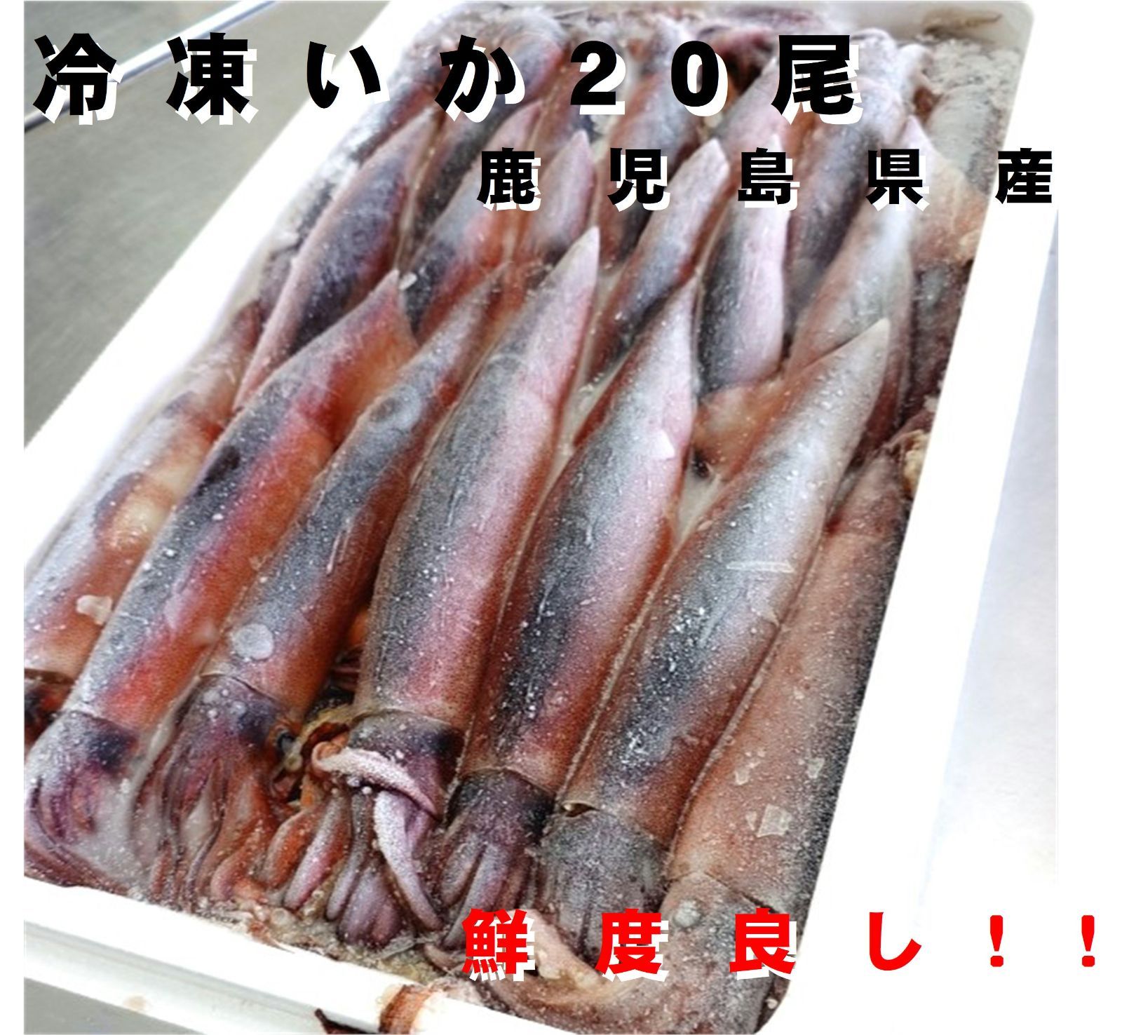 鮮度良し 冷凍生するめいか 大 20杯 入り 生冷 下氷 鹿児島県産 1杯 約 250g 新鮮な生いかを冷凍に お刺身 もちろん塩辛にも最適鮮度です イカ 烏賊 するめいか 真いかイカ 刺身 塩辛 鹿児島 青森 北海道