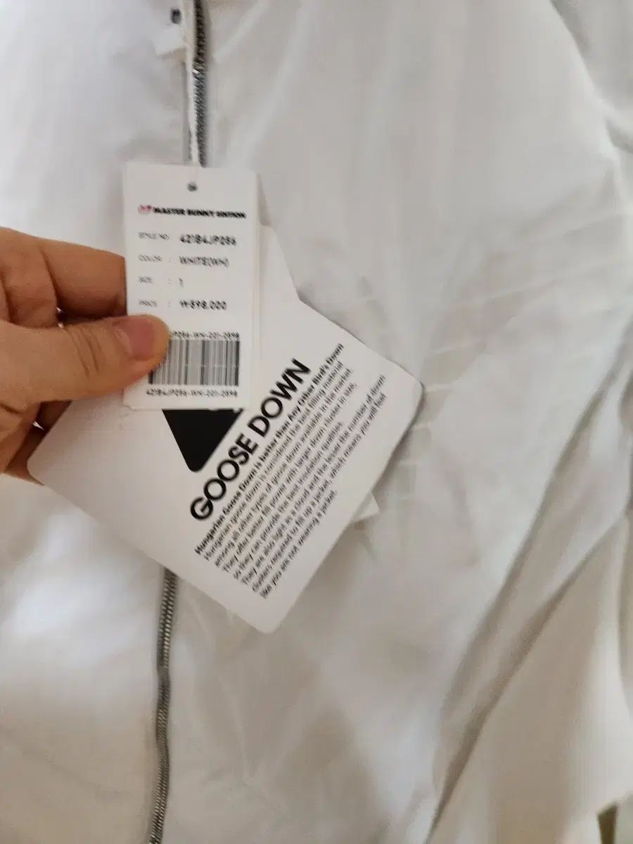 マスターバニーエディション ゴルフ