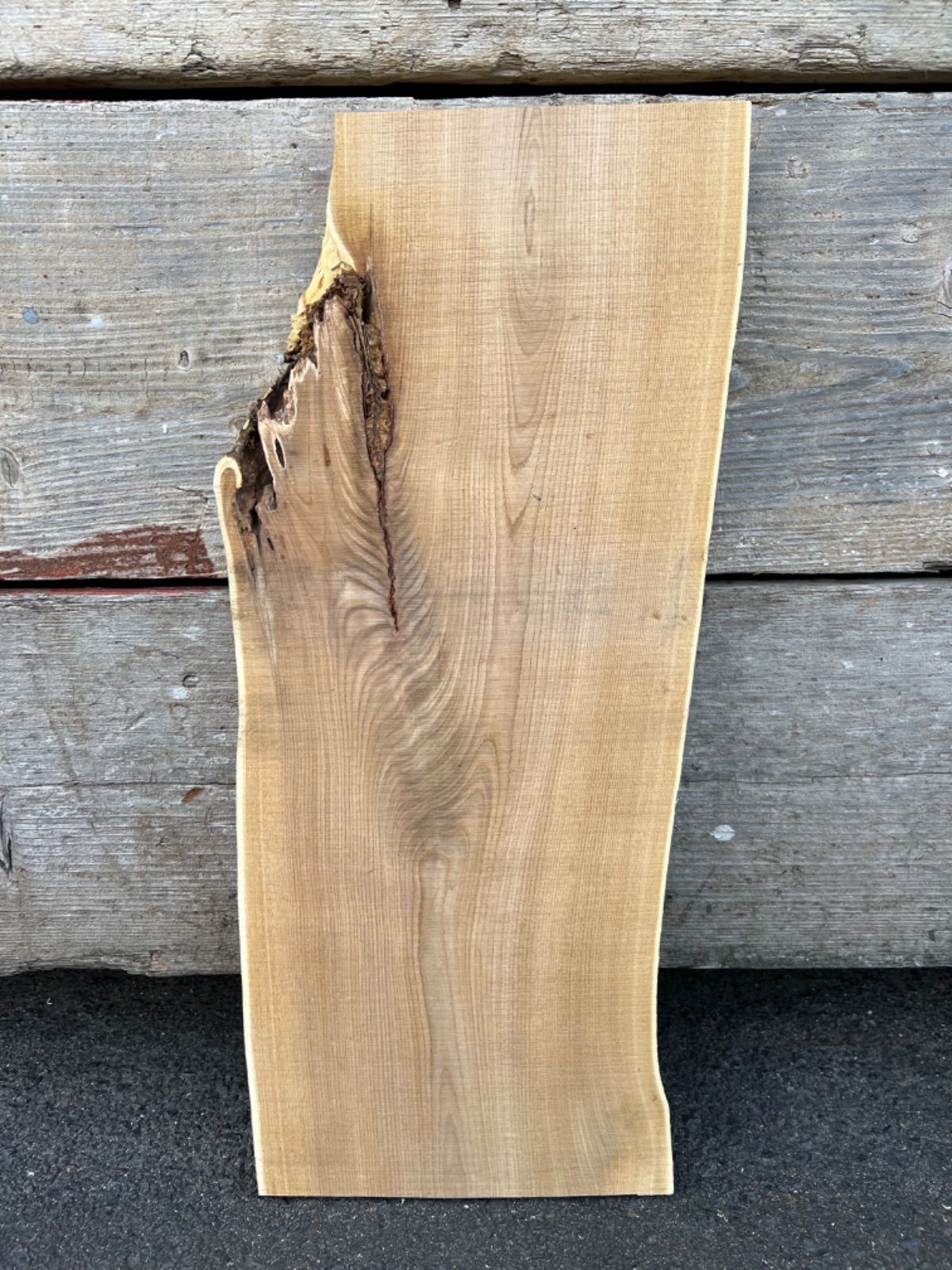 槐 一枚板 希少‼️ 【公式通販】