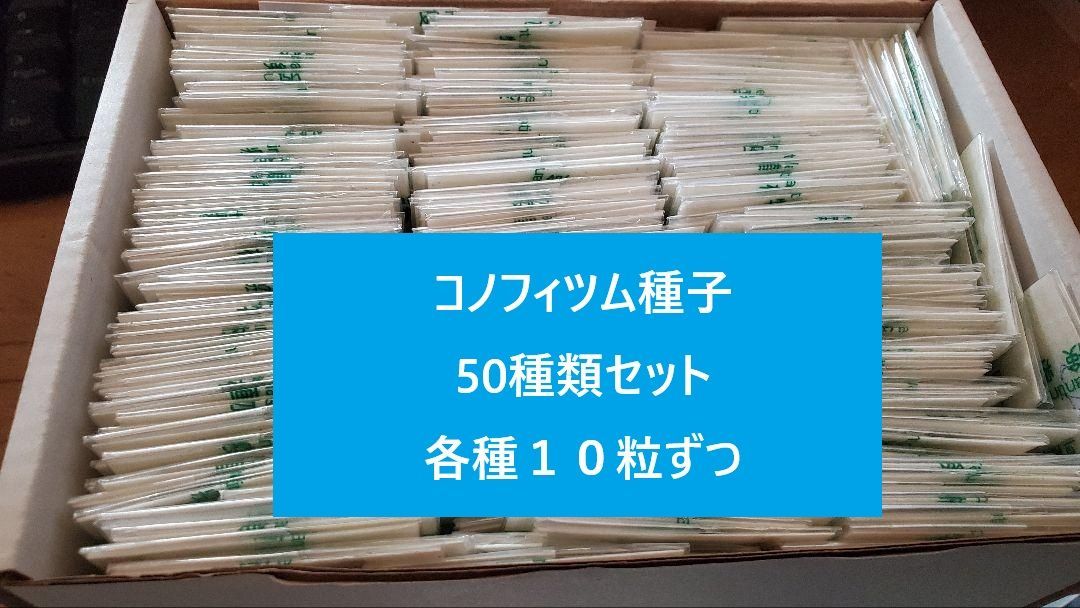 コノフィツム 種子 50種類セット 各種１０粒ずつ