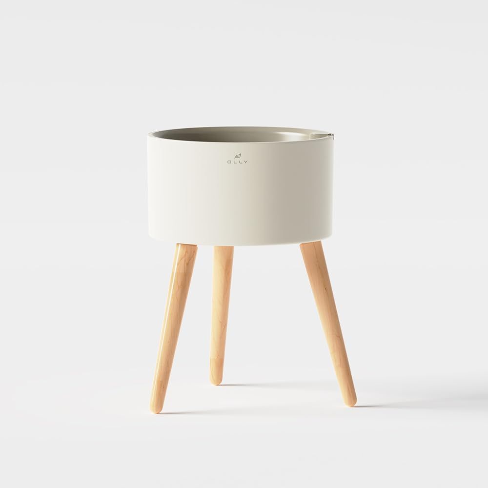 直接引取□極太の根元と幹のパキラアクアティカPachira/観葉植物/150cm