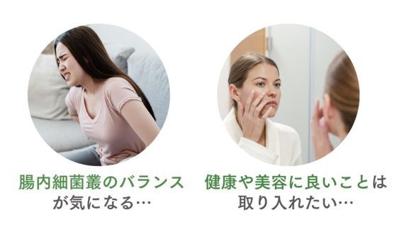 プロバイオ 30本