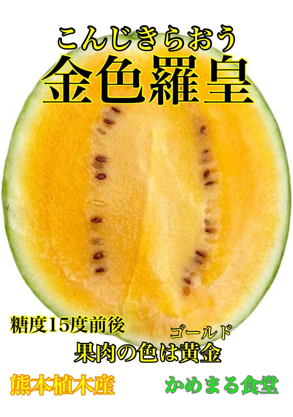 初競入荷