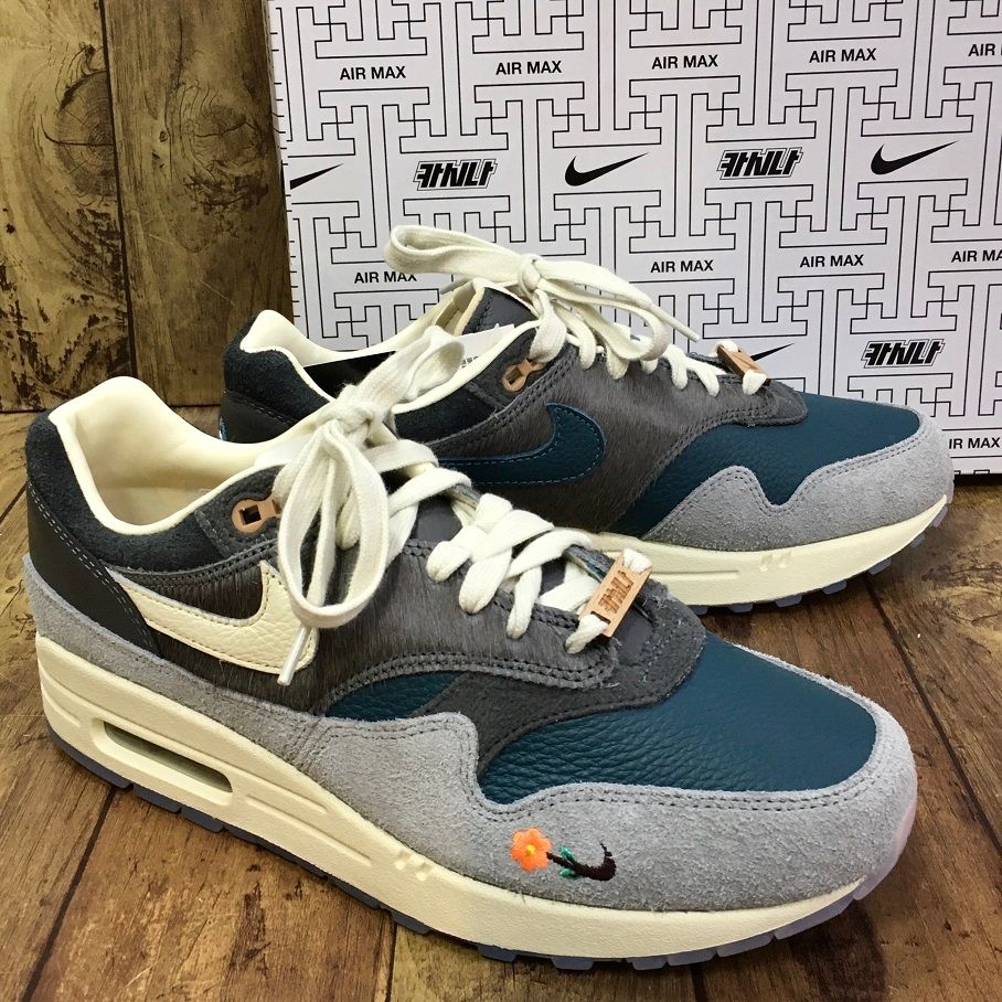 NIKE × KASINA AIR MAX 1 SP DQ8475-001 