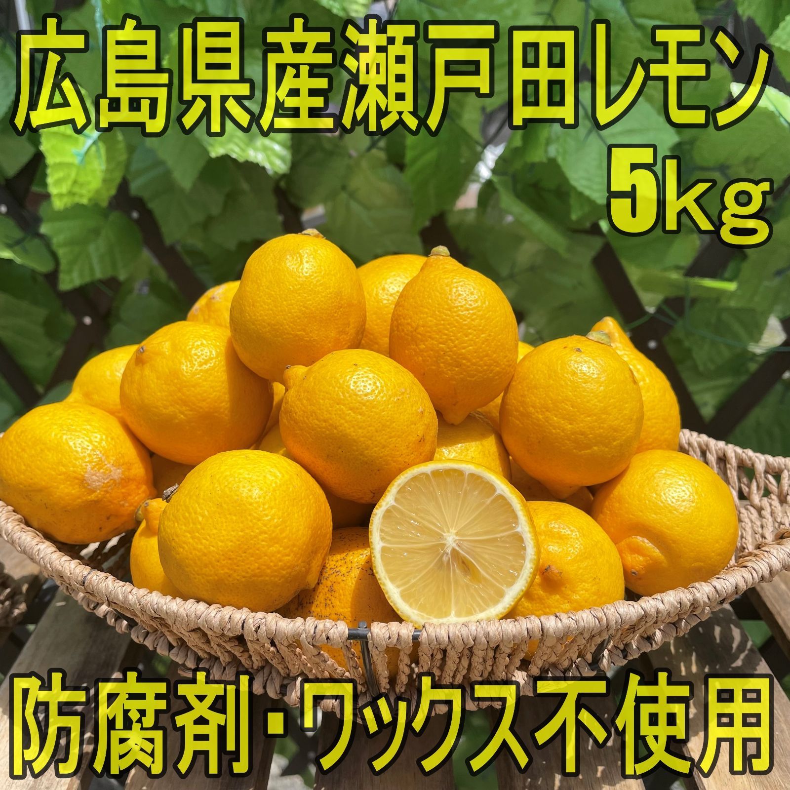 瀬戸田レモン 特別栽培 国産 三級品 箱込み5キロ 送料無料