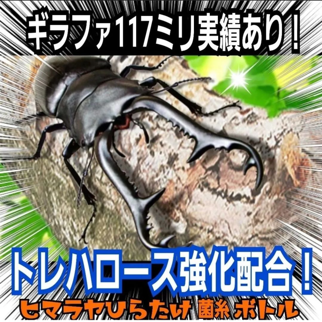 ローヤルゼリー キトサン強化配合
