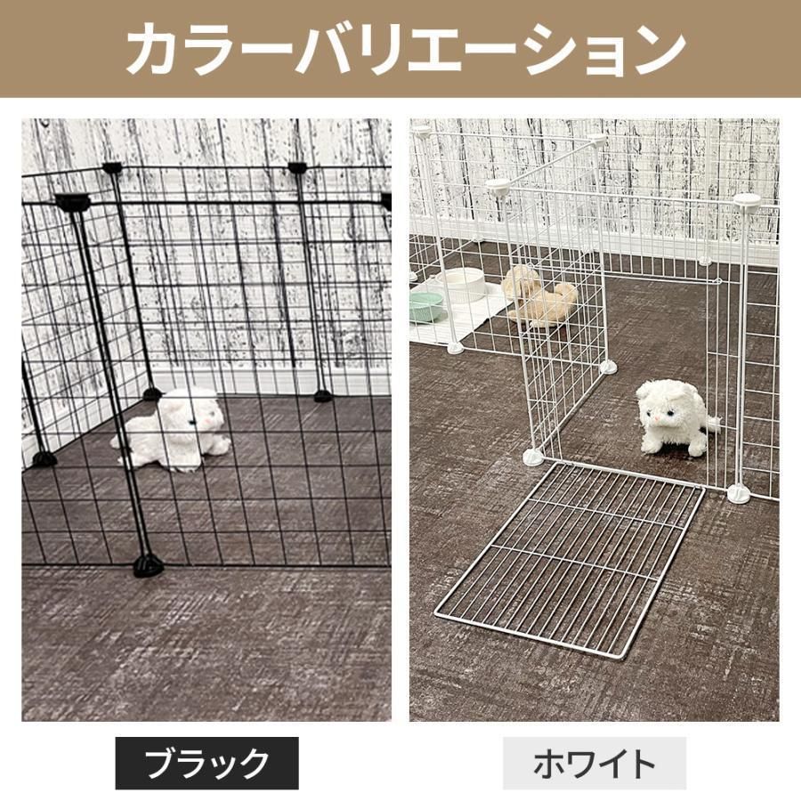 犬
