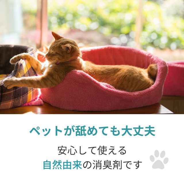 オシッコ臭