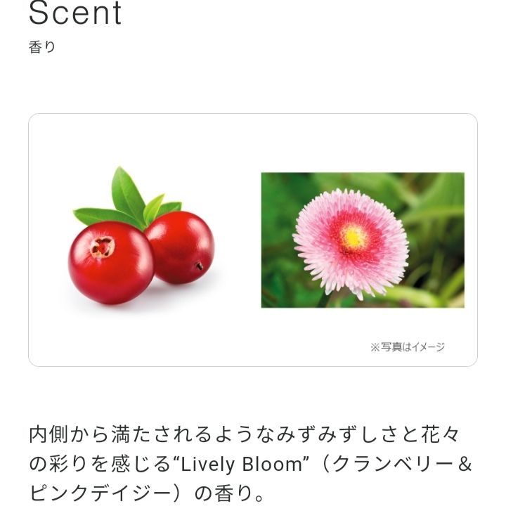 リテイニング シャンプー