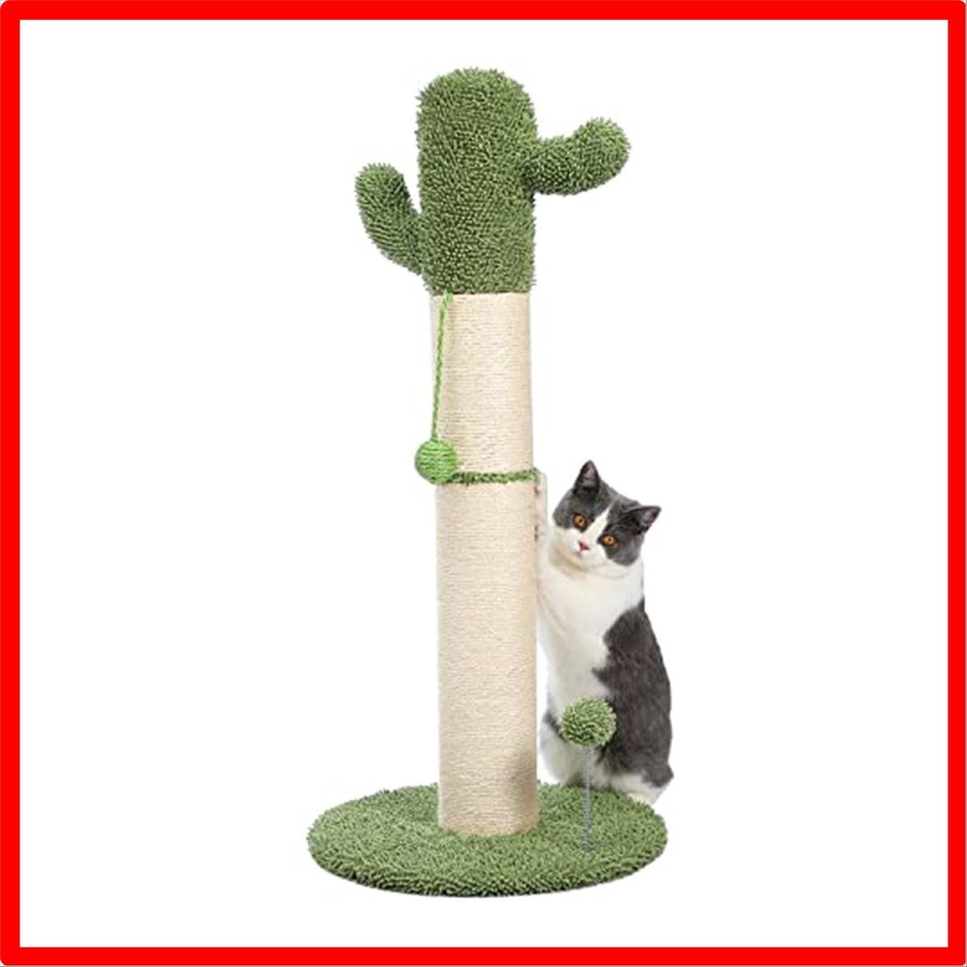 PAWZ Road 爪とぎポール サボテン 小型キャットタワー 猫タワー ねこの