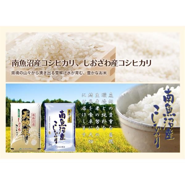 カンミちゃん様専用】令和6年産 南魚沼産こしひかり 30kg 特別栽培米 魚沼