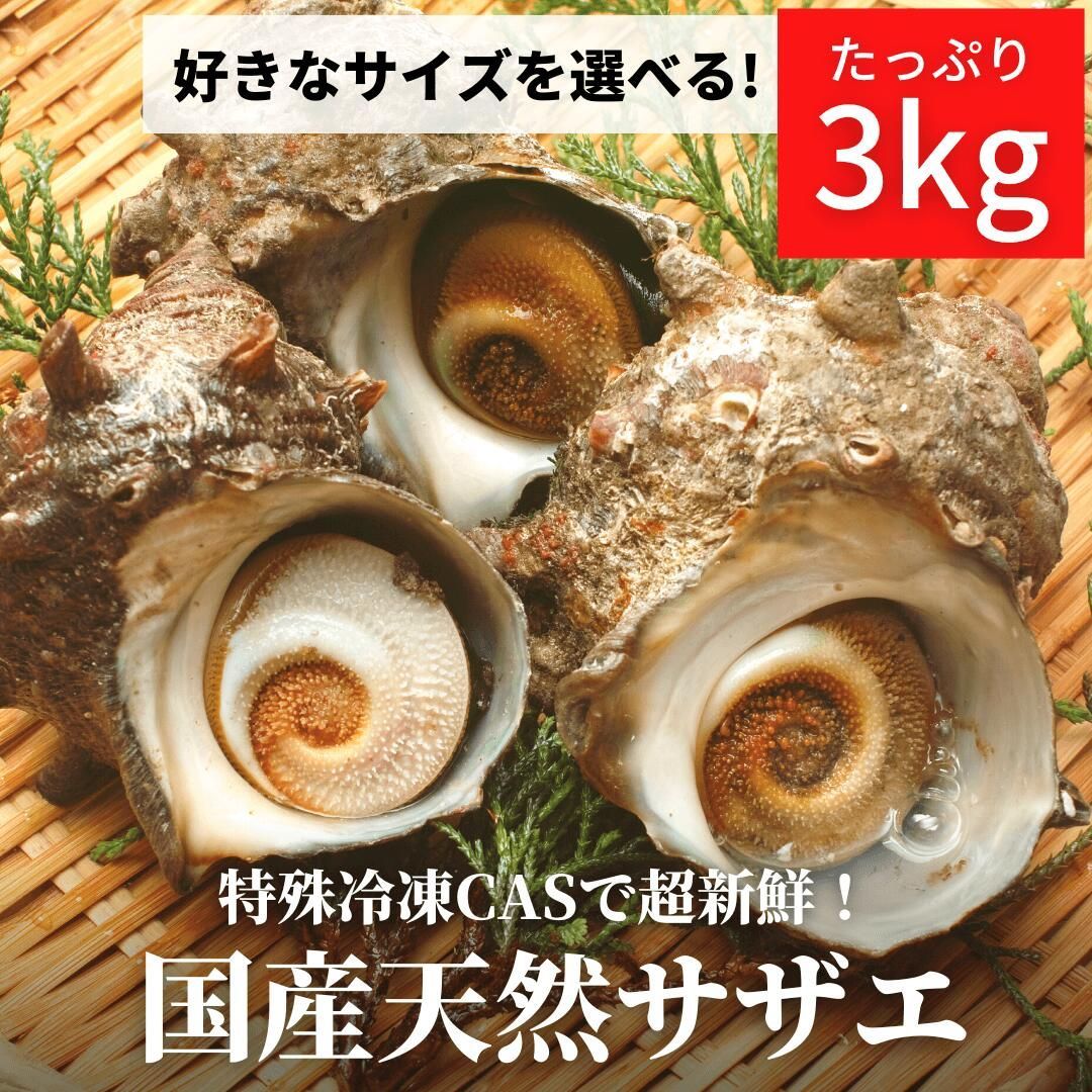 サイズおまかせ・国産生サザエ3kg（海鮮BBQバーベキューに）新鮮！冷凍 さざえの壺焼き