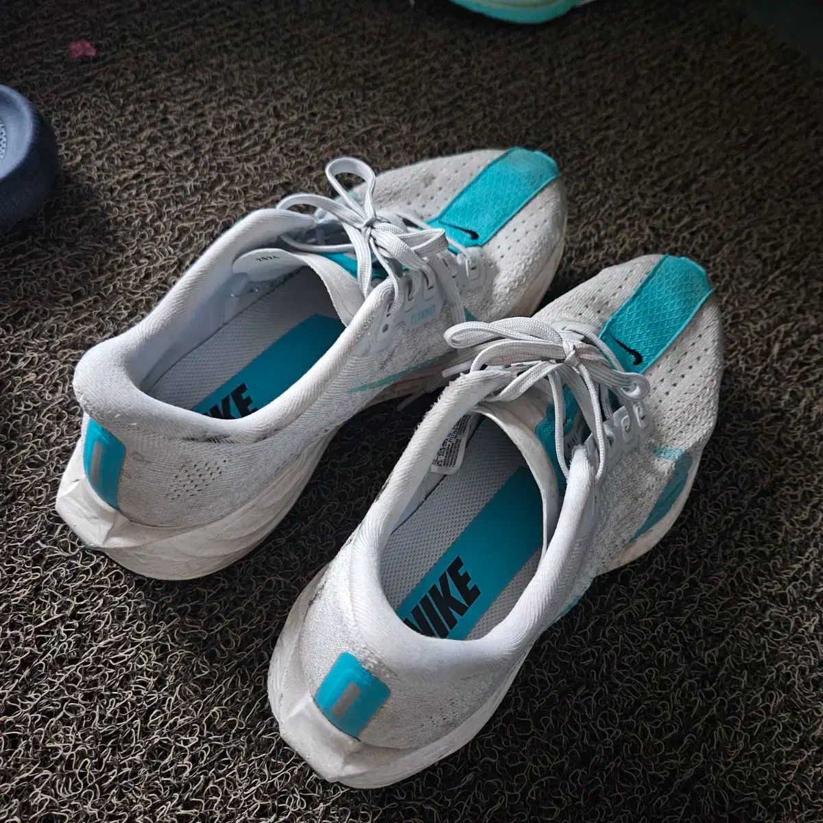 NIKE ナイキ ペガサス プラス 255