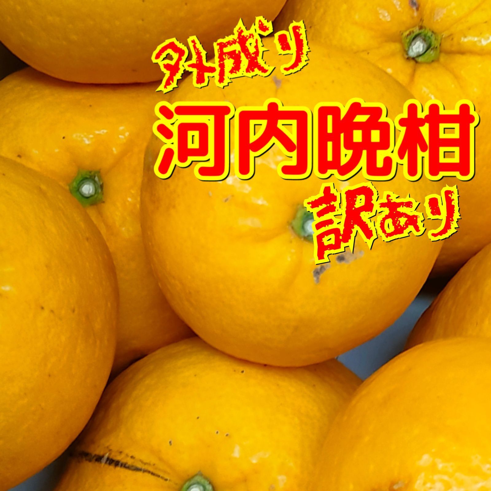 外成り河内晩柑 訳あり家庭用 約８キロ サイズ不揃い不選別 美味しい