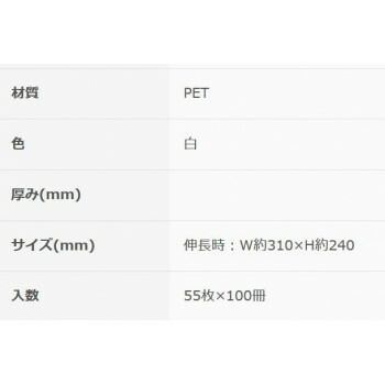 白55P×100冊 10313406