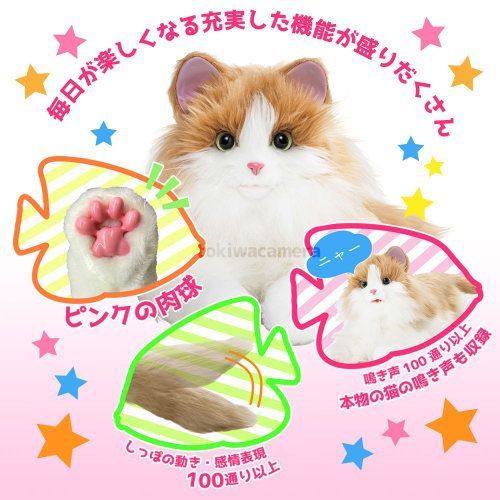 しっぽふりふり