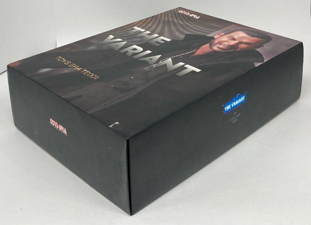 TOYS ERA 1 6 SCALE COLLECTIBLE ACTION FIGURE MARVEL THE VARIANT TE001 WWW_STEELWINDOWSANDDOORS_COM