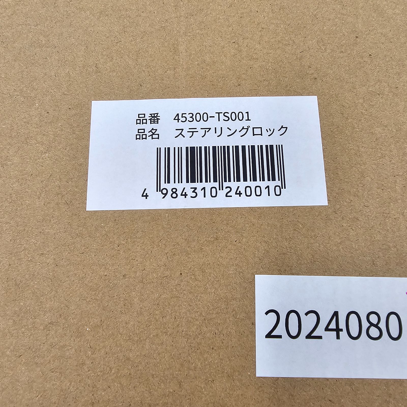 45300-TS001