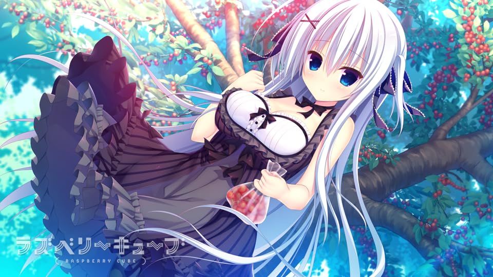 ラズベリーキューブ 初回限定特装版 - PS4 (【特典】B2タペストリー