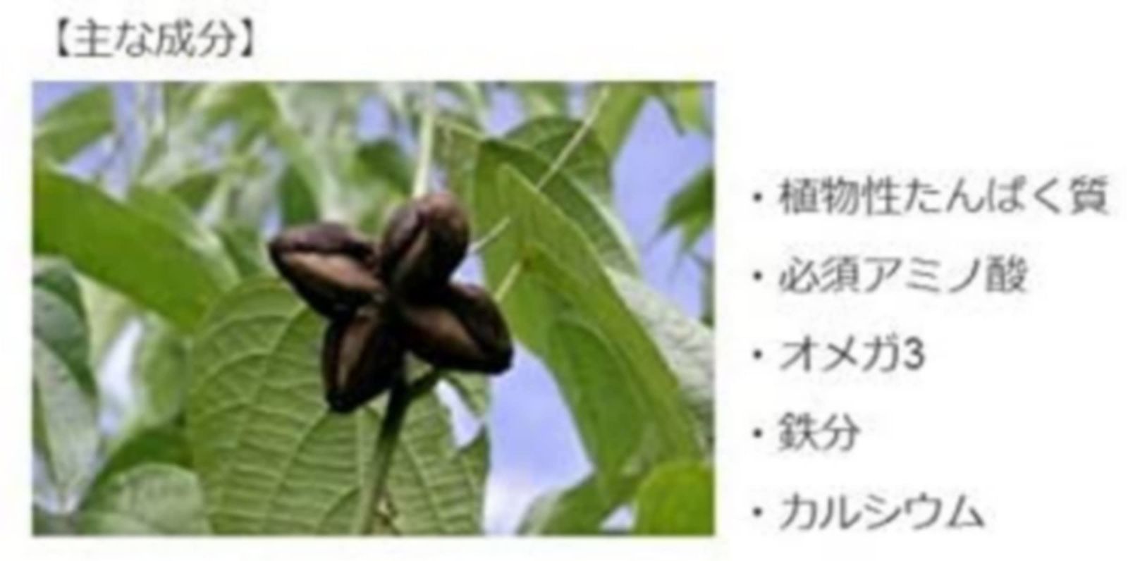 180g 4個セット