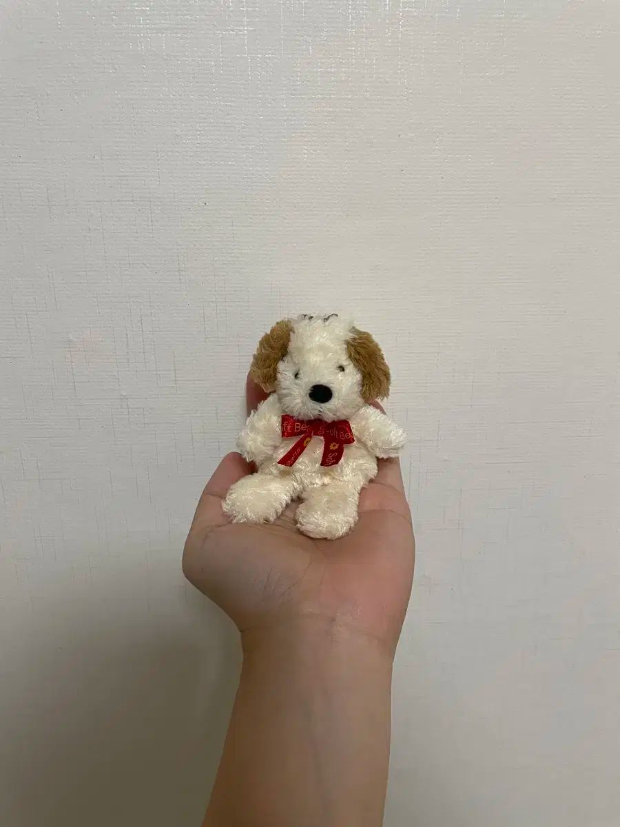 狼林（ROURIN）作 犬（ポメラニアン）の水彩画 2008年 Amazon.co.jp