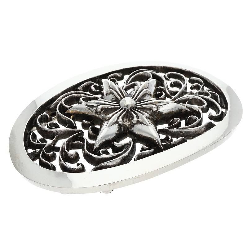 lepanthes gargoyla レパンテスエクアドルパルダリウム大株 lepanthes