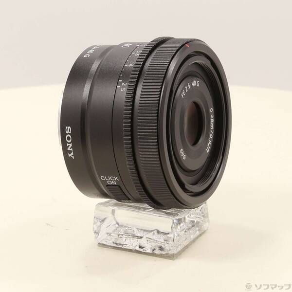 ヒカゲノカズラ やまさんさま専用 80cm~×250本