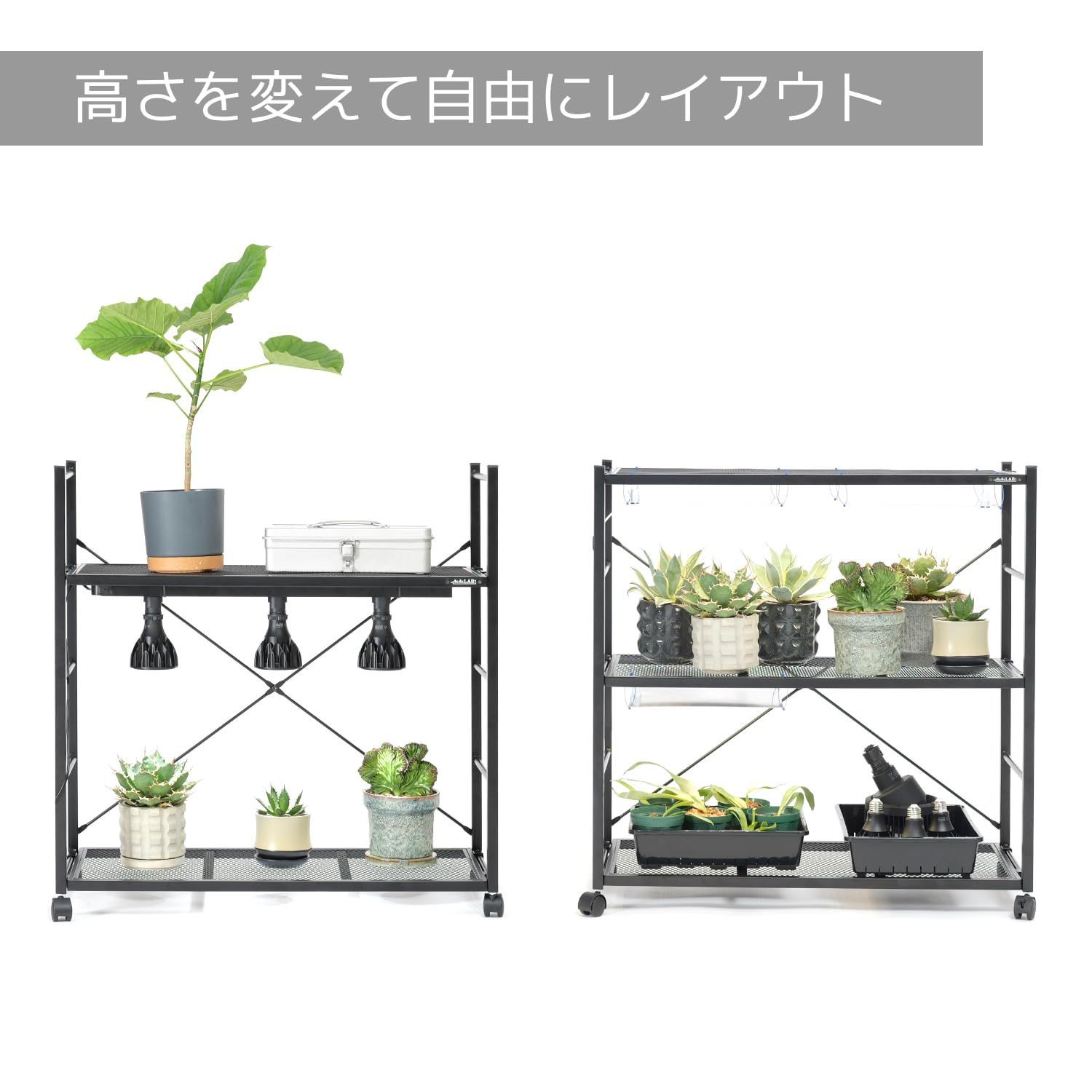 植物棚 多肉棚