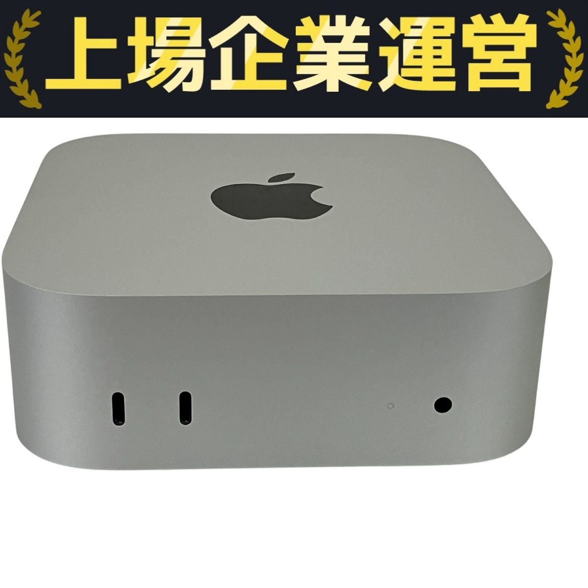 Apple Mac mini 2024 デスクトップ パソコン 10C CPU GPU 16GB