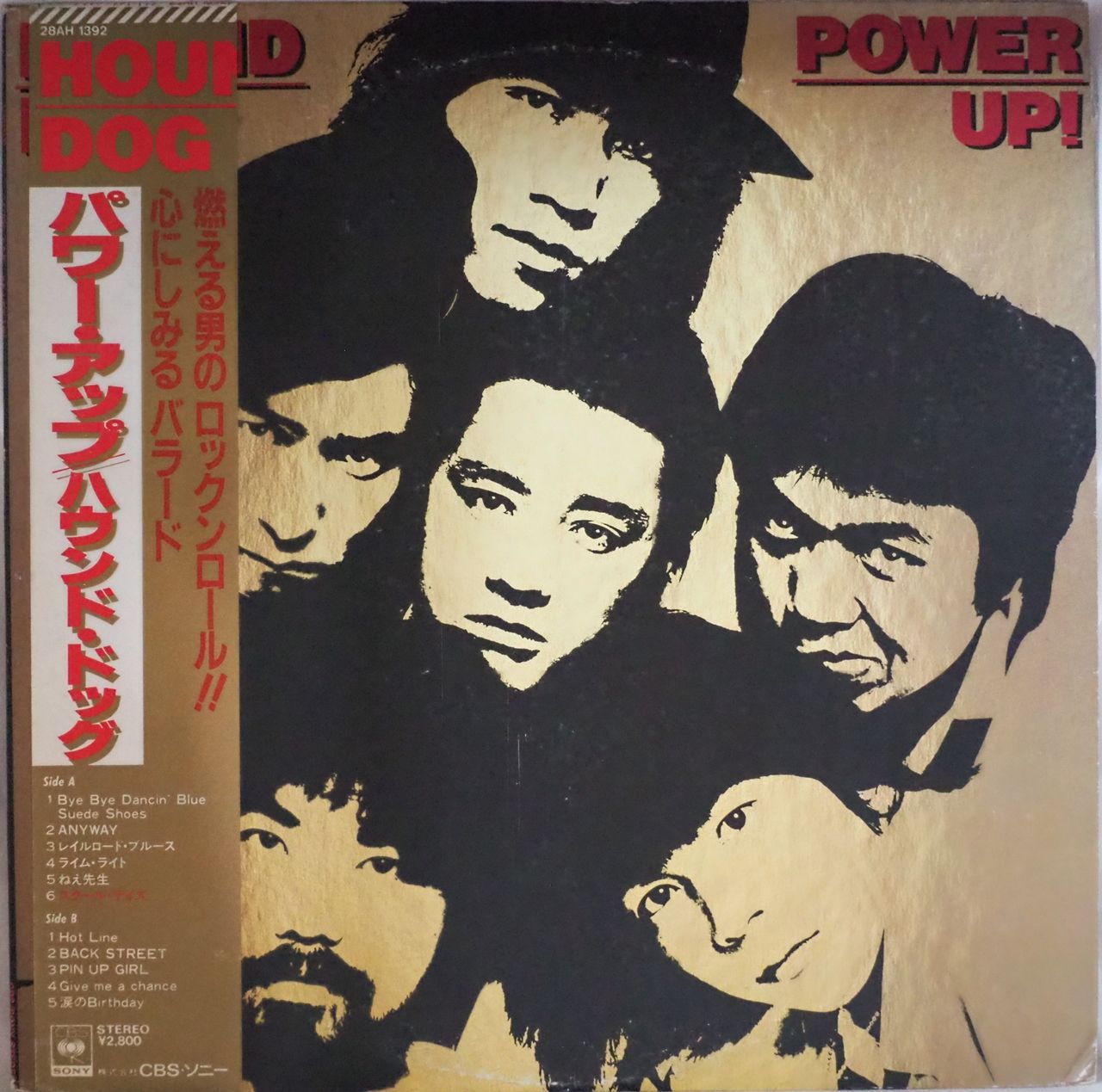 HOUND DOG（ハウンド・ドッグ）／POWER UP! - メルカリ