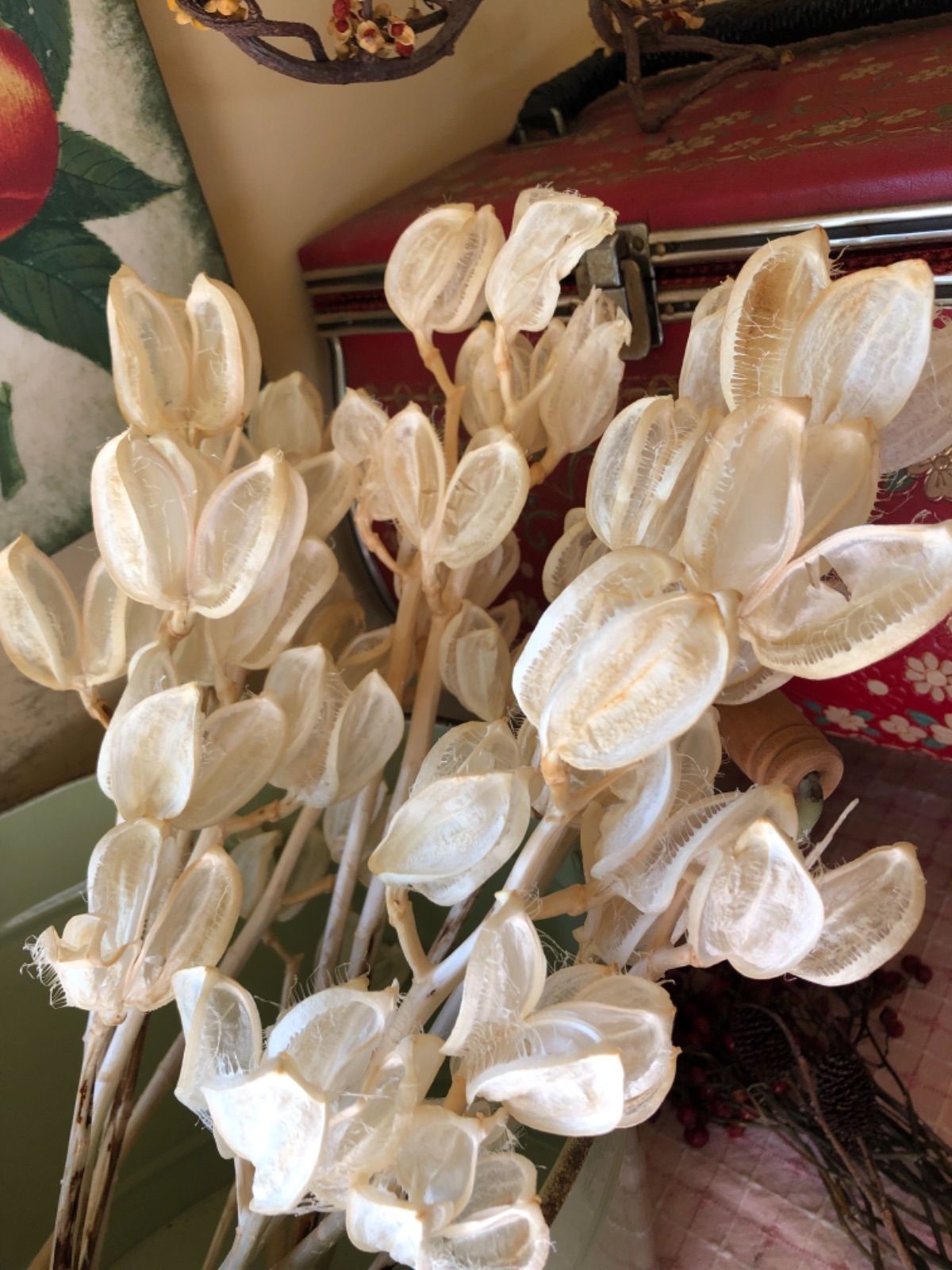 美しい純白　ウバユリ　花材ドライフラワー ブリーチ乾燥済み　リース／スワッグ等に