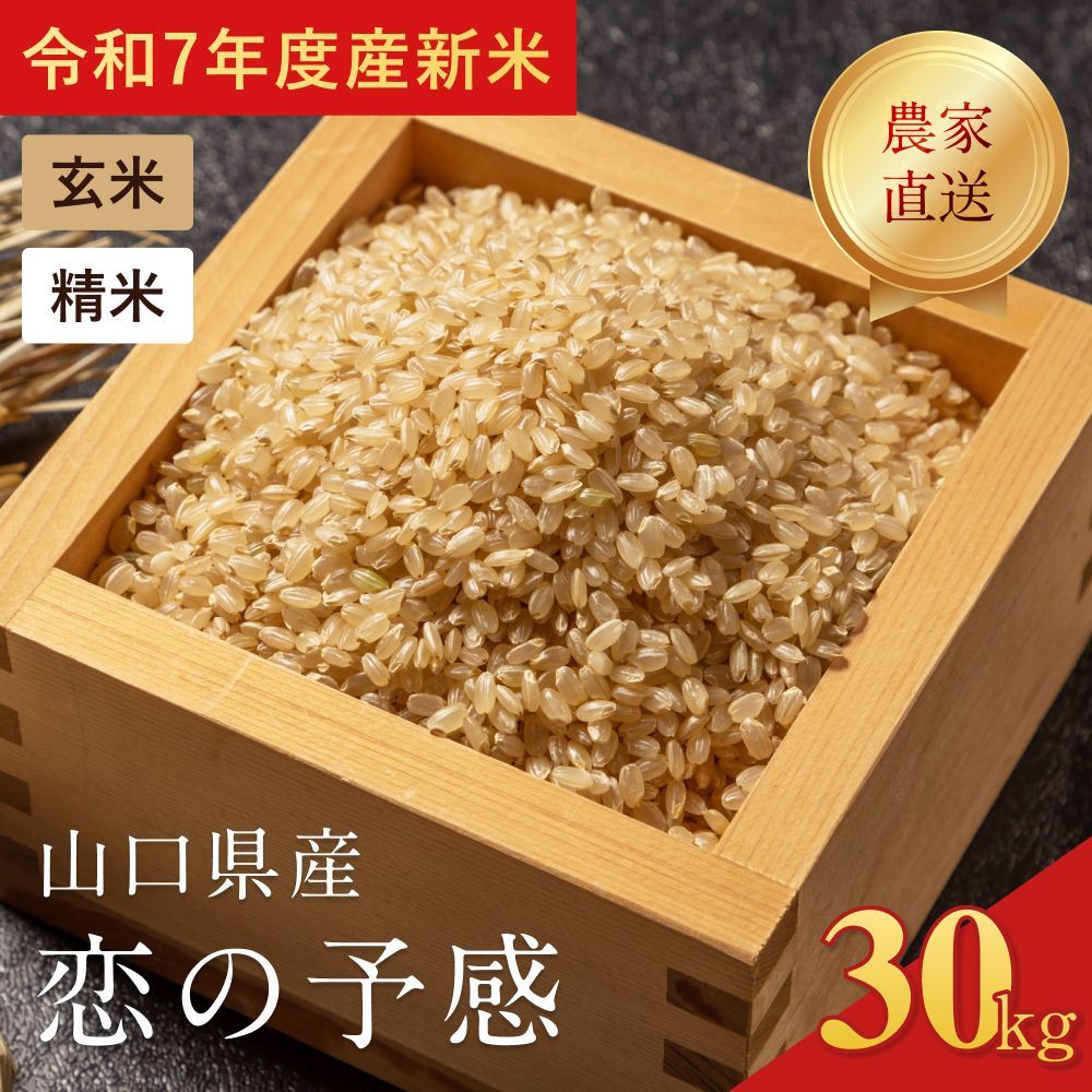 令和7年産新米 山口県産 恋の予感 30kg み 玄米 精米選べる 北海道 沖縄離島は受付不可