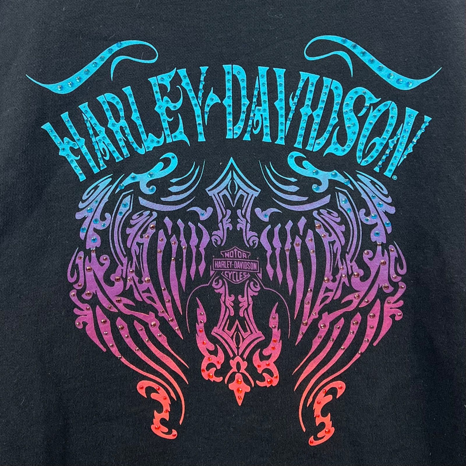 Harley Davidson \" ラインストーン ジップパーカー\" HARLEY-DAVIDSON archive grunge decoration zip hoodie S