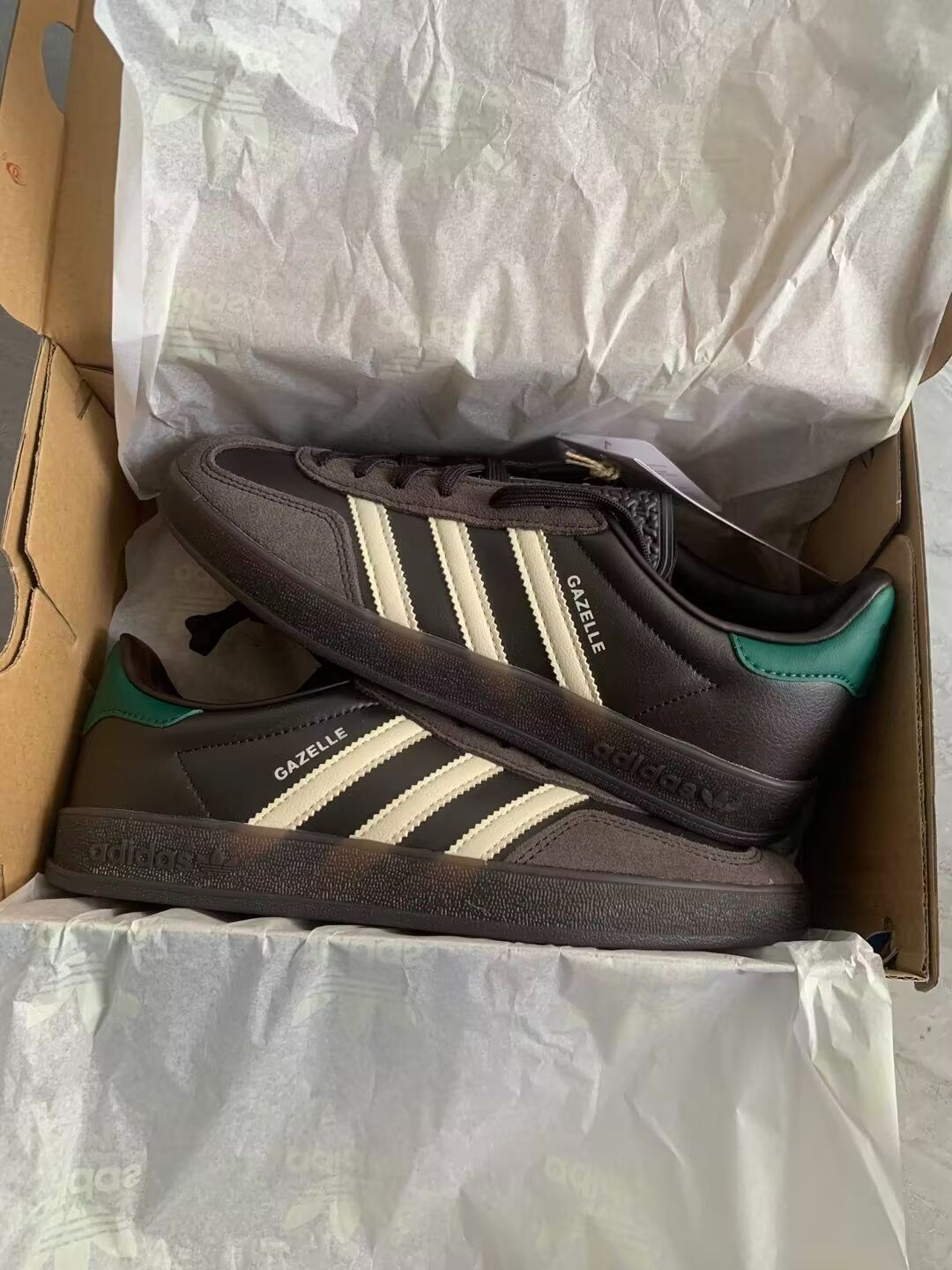 GAZELLE INDOOR