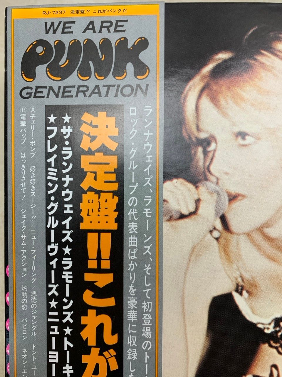 決定盤！これがパンクだ LP We Are Punk Generation LP 帯付 ライナー欠 決定盤！これがパンクだ WE ARE PUNK