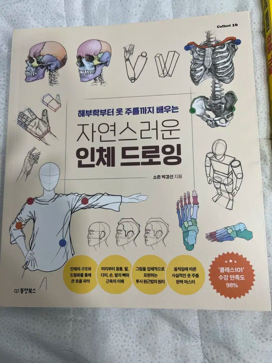 人体デッサンブック 脚本