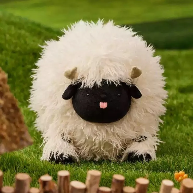 くるくる巻き角！ ヴァレーブラックノーズシープ ♀ スカル