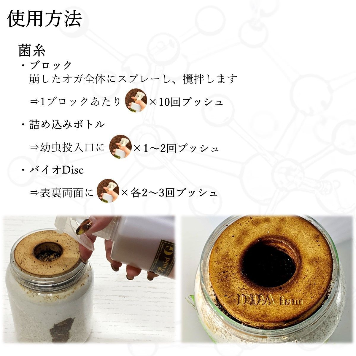 蛹 飼育