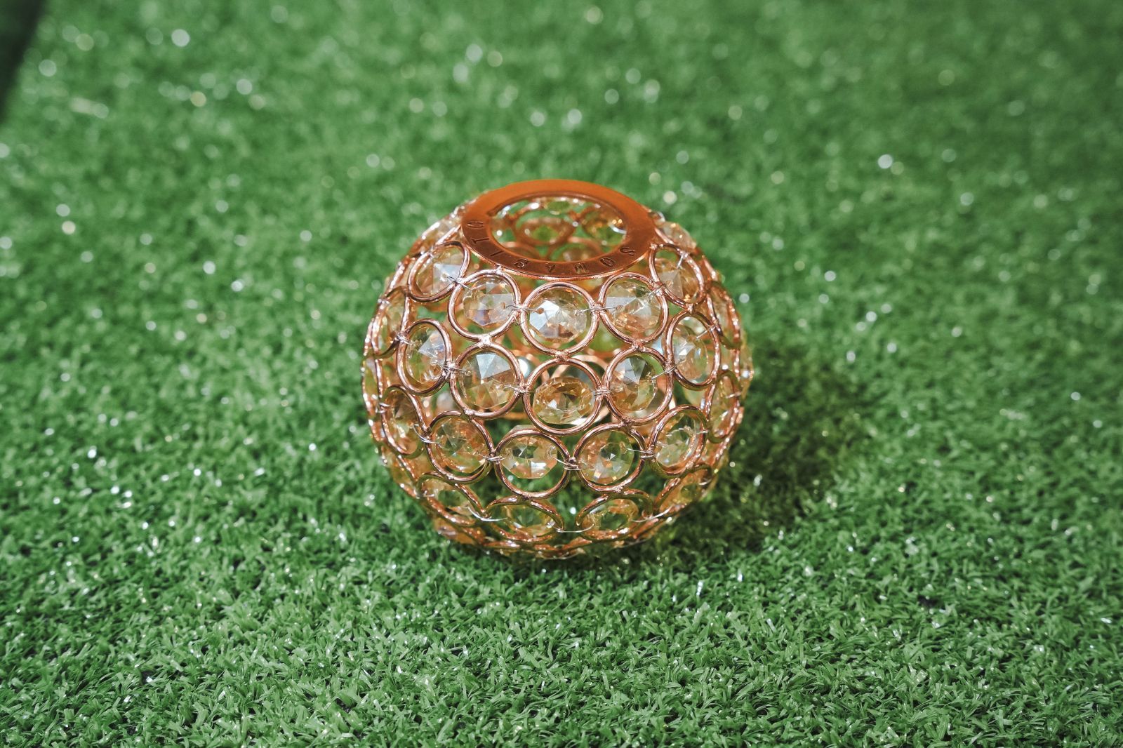 dapple born dapple glass shade dapple born ウォールナットゴール