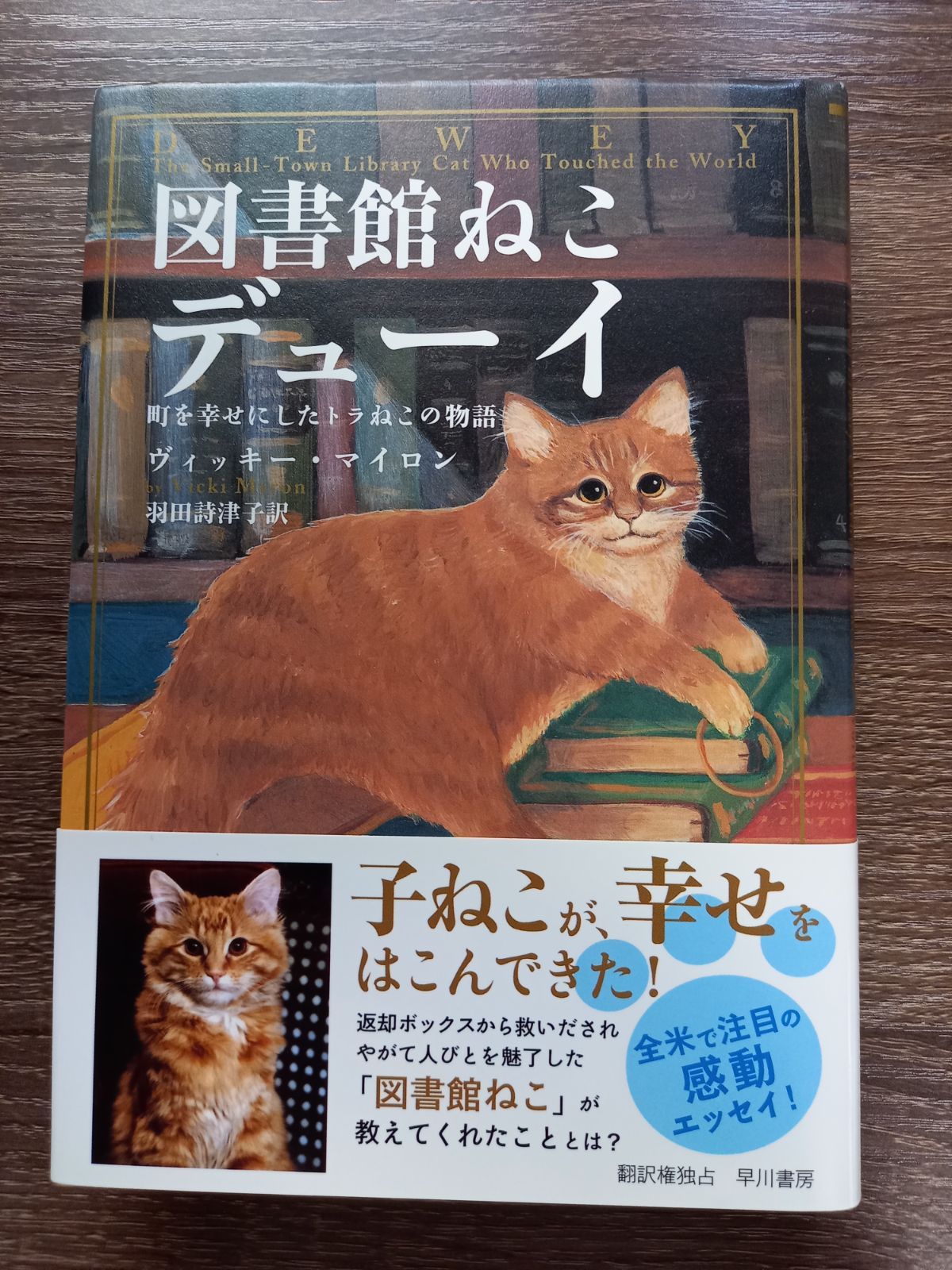 図書館ねこデューイ - メルカリ