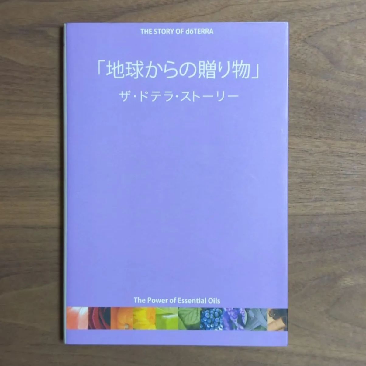 地球からの贈り物 藤野雪子 2021高い素材 - 科学・医学・技術