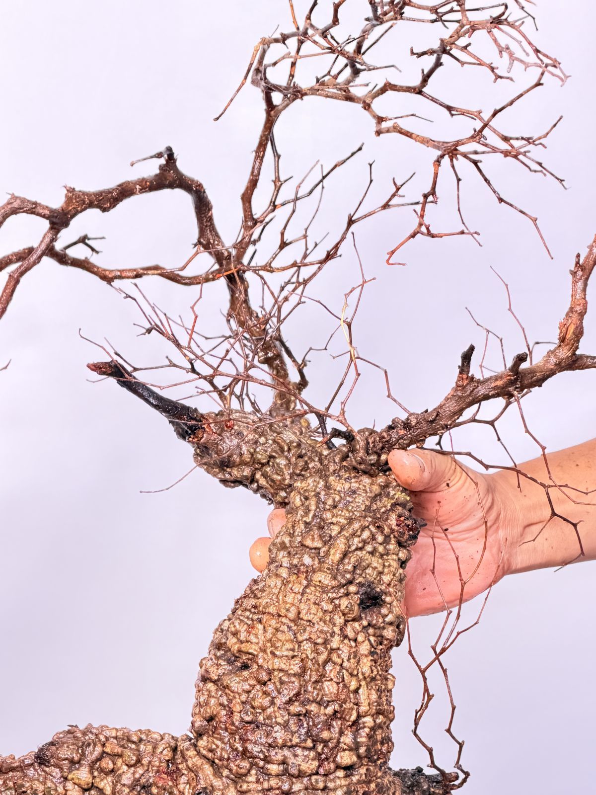 マダガスカル選抜