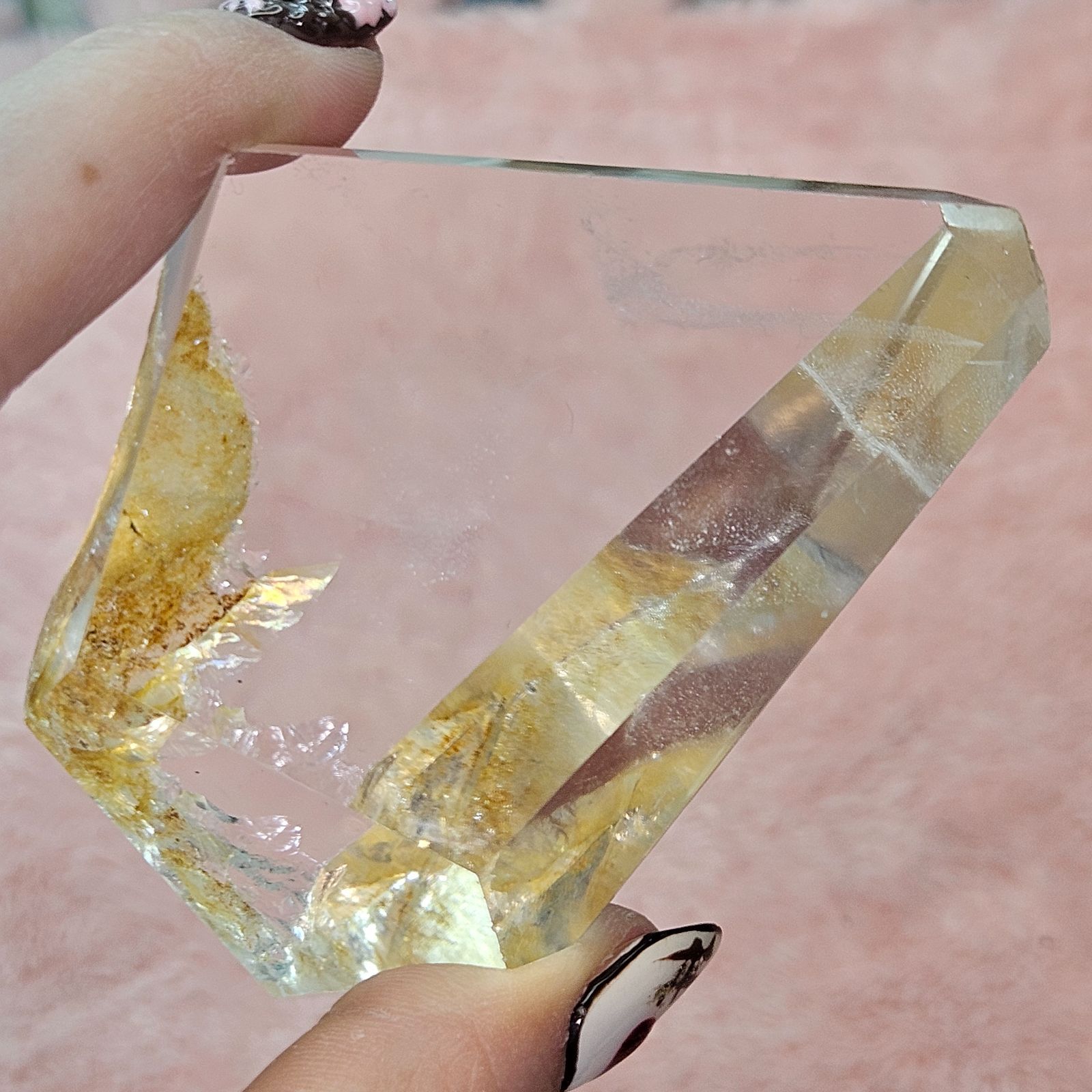 ハイクオリティ✨超綺麗✨ゴールデンヒーラー✨フリーフォーム