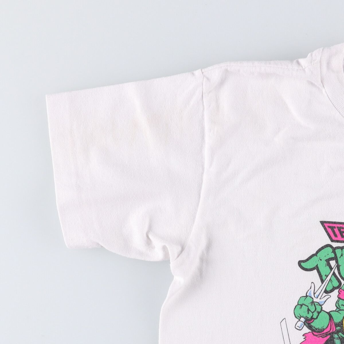 古着 90年代 ヘインズ Hanes Teenage Mutant Ninja Turtles 