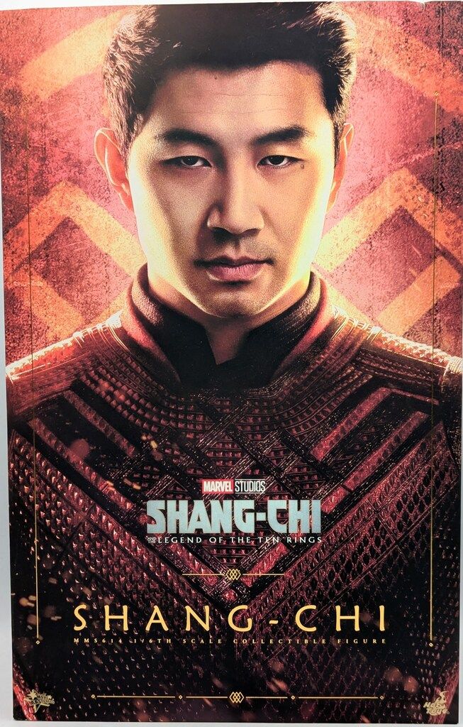 HOTTOYS MOVIE MASTERPIECE SHANG-CHI MMS614
