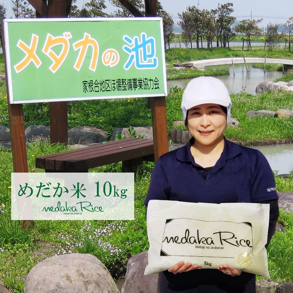 めだか米 10kg 無洗米 白米 玄米 山形県産はえぬき 令和6年 10キロ
